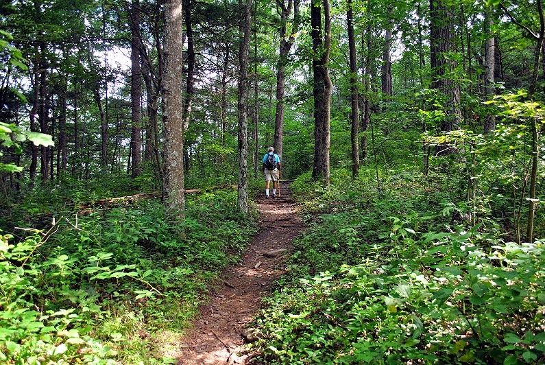 [05b---Appalachian-Trail-up-to-summit%255B1%255D.jpg]