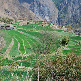 Tiger Leaping Gorges - terraces