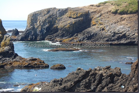 DSC_0775 DSC_0775