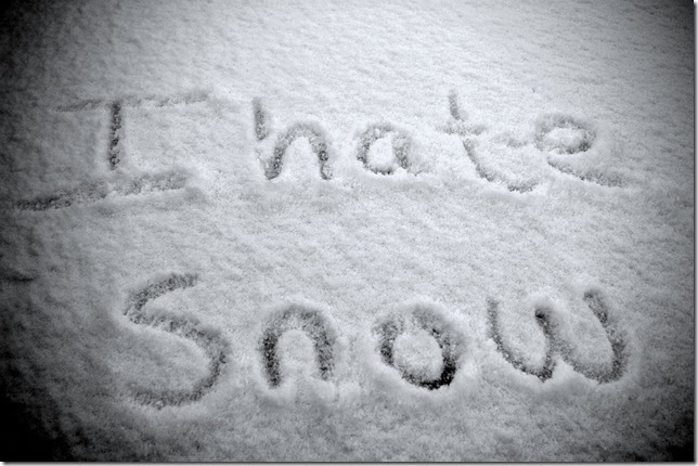 i-hate-snow i-hate-snow