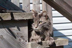 IMG_0127 IMG_0127