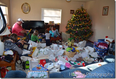 DSC_0242 DSC_0242