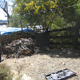 IMG_4064.JPG