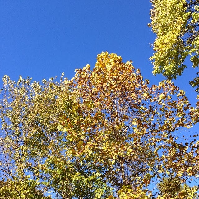 [2013-10-27_1382905086%255B3%255D.jpg]