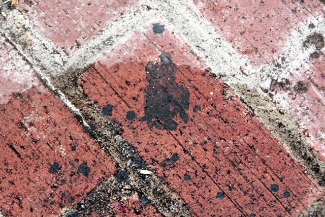 [june201105714.jpg]