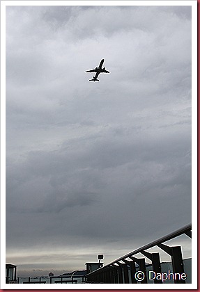 IMG_2356 IMG_2356