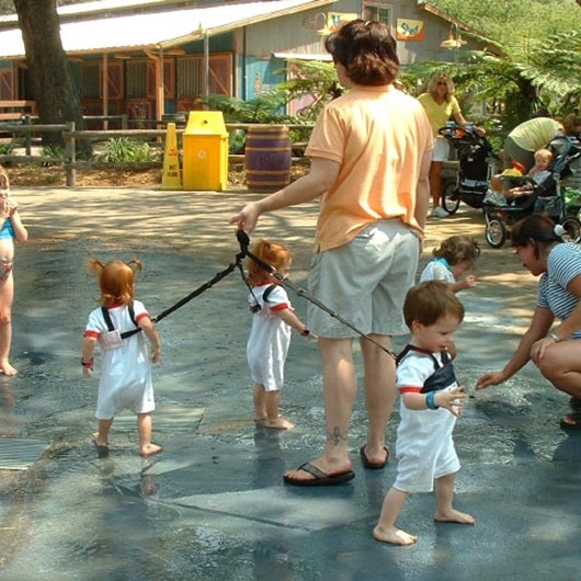 Babies-on-Leashes