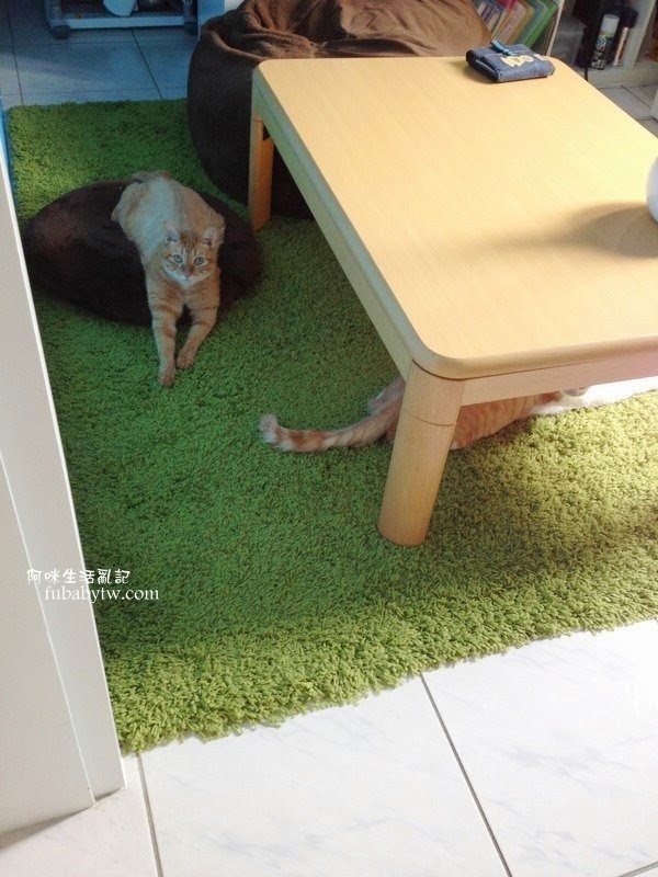 調整大小IMG_6530 調整大小IMG_6530