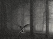 Angel Under Rain