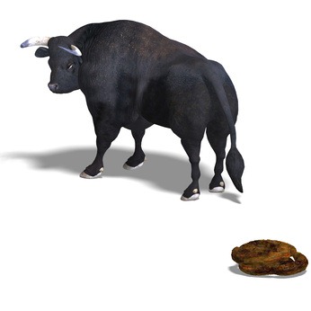 [Fotolia_16318812_XS%255B3%255D.jpg]