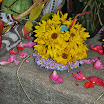 DSC_0122.JPG