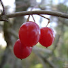 dsc05863.jpg