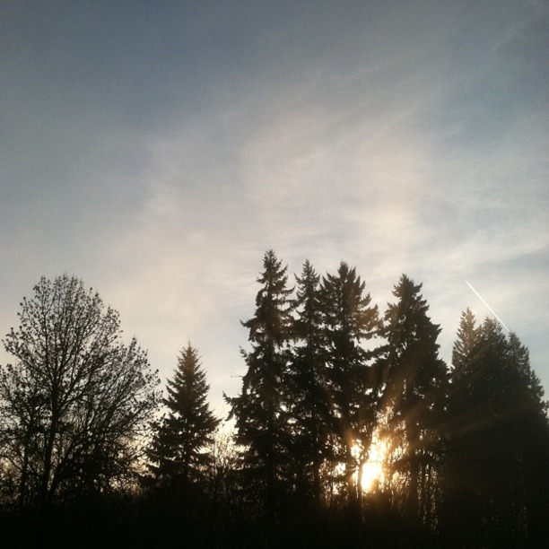 [IMG_2517%255B4%255D.jpg]