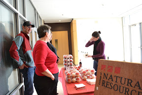 2012 Valentines Day Cupcakes_0013.JPG
