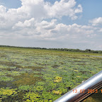 DSCN3035.JPG