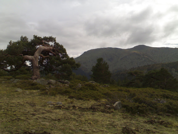 Cabezas de Hierro desde la Loma del Noruego