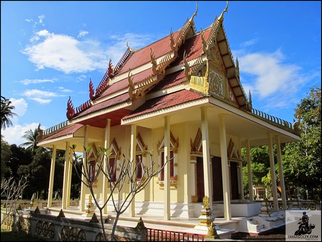 [IMG_7929%255B2%255D.jpg]