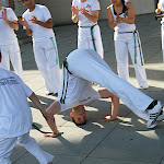 DSCF1619.JPG