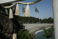 IMG_4910.JPG
