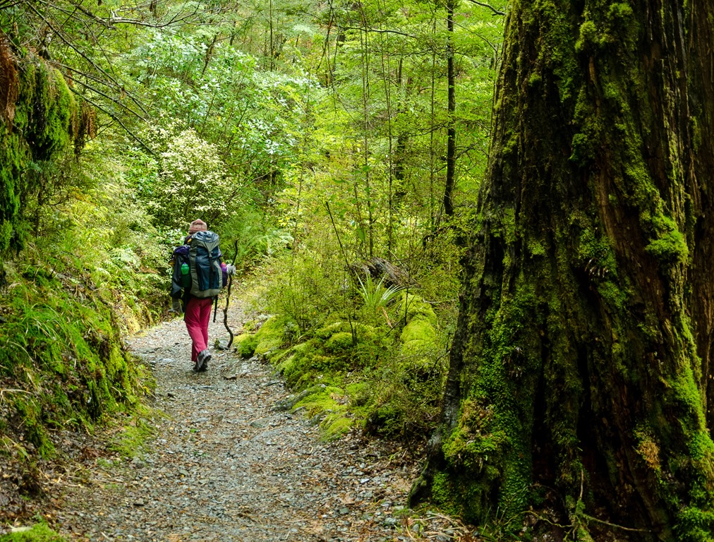 [Routeburn-963.jpg]
