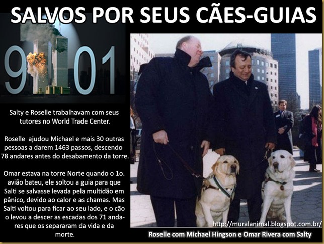 caes-guias-911