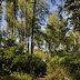 2011.09.11. - Trdinov vrh