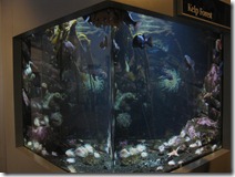 IMG_4823 IMG_4823