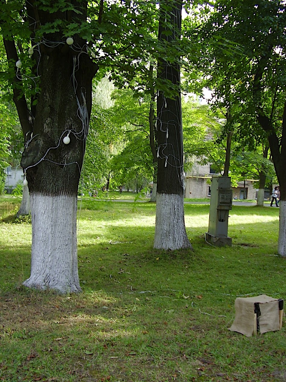 P9110046.JPG