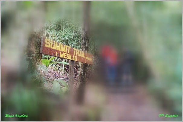 Mesilau to Laban Rata Mesilau to Laban Rata