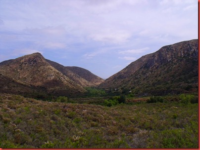 pics 002