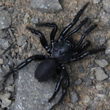 middle week 2011 - IMG_1585.JPG