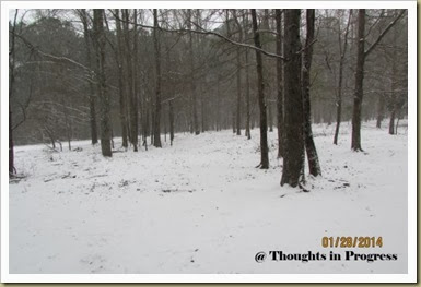 Pasture in snow 2014