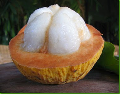 Santol 1 Santol 1