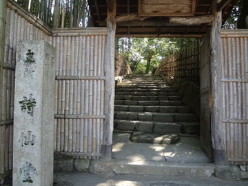 DSC04575 DSC04575