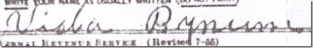 viola signature