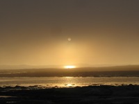 IMG_6717 IMG_6717