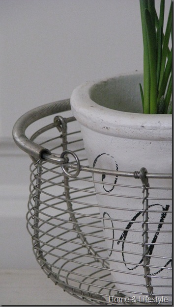 Home & Lifestyle Home & Lifestyle