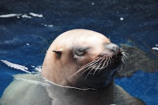 DSC_0096.JPG