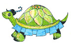 Tea Turtle in Tricorne, by Michelle Layland