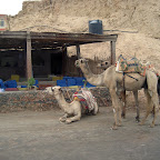 IMG_2306.JPG