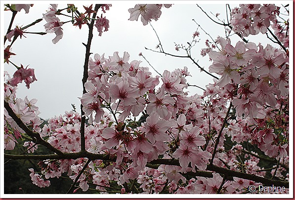 IMG_2330 IMG_2330