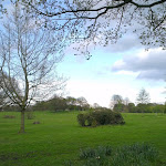 IMAG0057.jpg