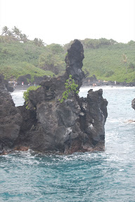 DSC_0953.jpg