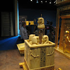 IMG_2789.JPG