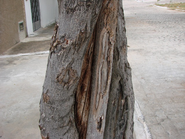[DSC08097%255B4%255D.jpg]