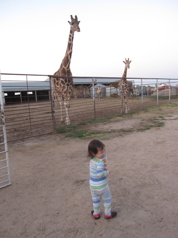 [IMG_8611%255B2%255D.jpg]