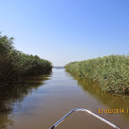 IMG_5662.JPG