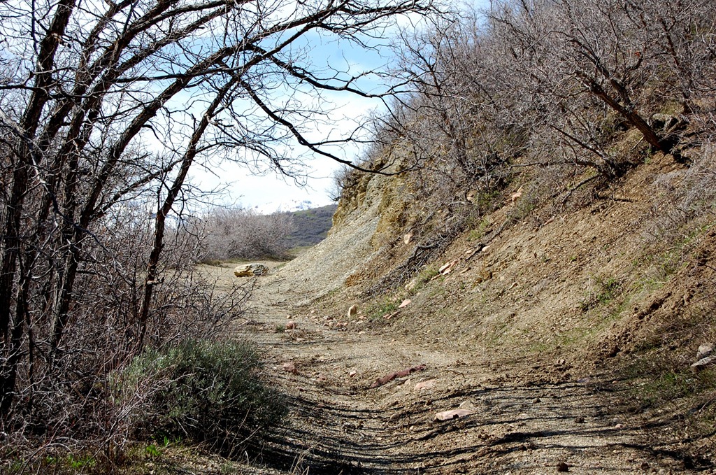 [may2011lambscanyon17%255B3%255D.jpg]