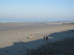 http://lh4.ggpht.com/-b5tdIKIIUNc/Toxpp_JIQfI/AAAAAAAAB6c/QaeLCpVOsRc/WEWimereux%252520018.JPG
