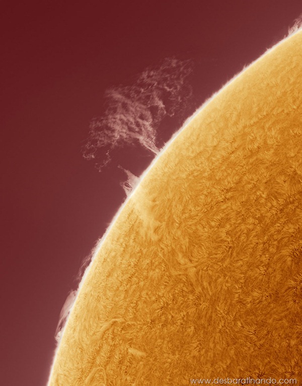 hd-photographs-of-the-sun-alan-friedmans- (6) hd-photographs-of-the-sun-alan-friedmans- (6)